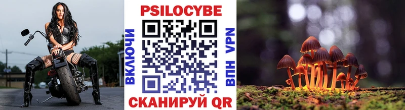 Купить  Истра  Галлюциногенные грибы мухоморы 
